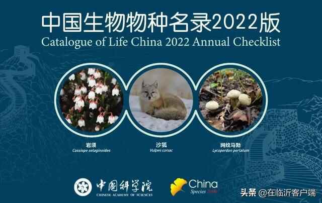 早安临沂（2022年5月23日）