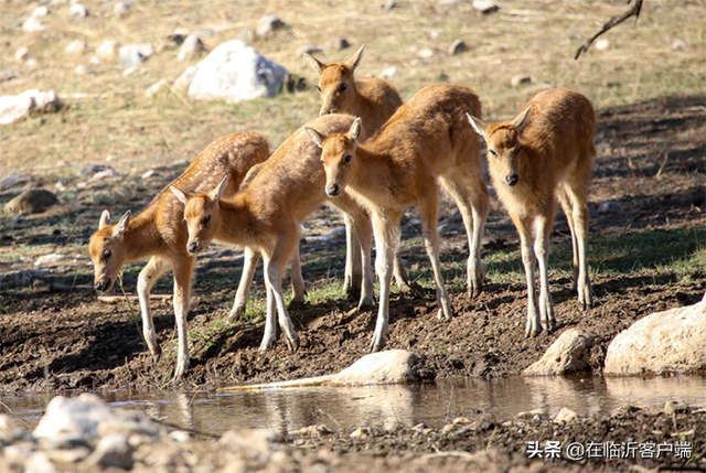 早安临沂（2022年5月23日）