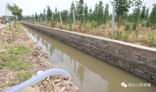 郯城：调水7000万立方米 全力抗旱保种