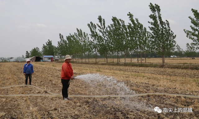 郯城：调水7000万立方米 全力抗旱保种