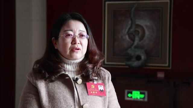 费县党代会代表热议党代会工作报告