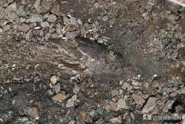 大事件！沂水跋山遗址列入“考古中国”重大项目