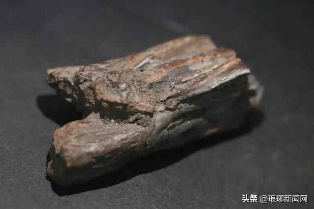 大事件！沂水跋山遗址列入“考古中国”重大项目