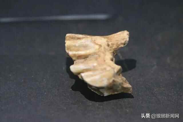大事件！沂水跋山遗址列入“考古中国”重大项目