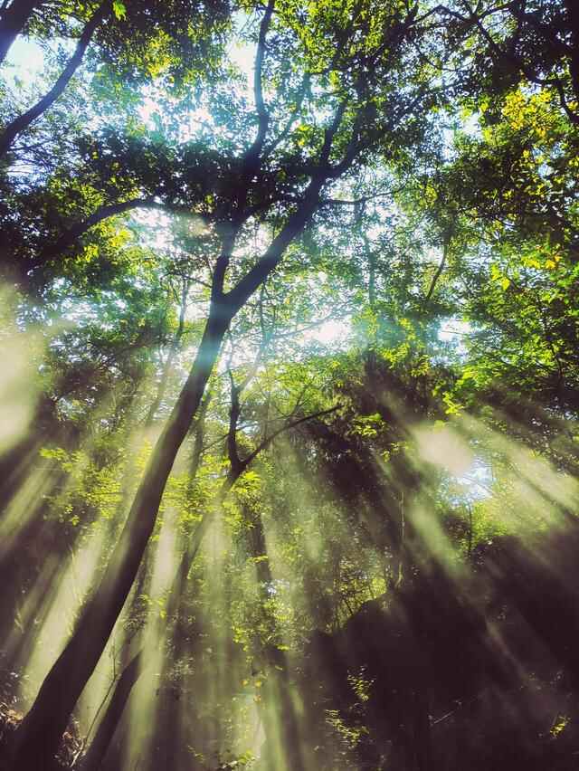 山东郯城旅行笔记