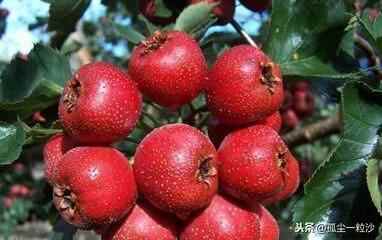 临沂费县6大特色美食