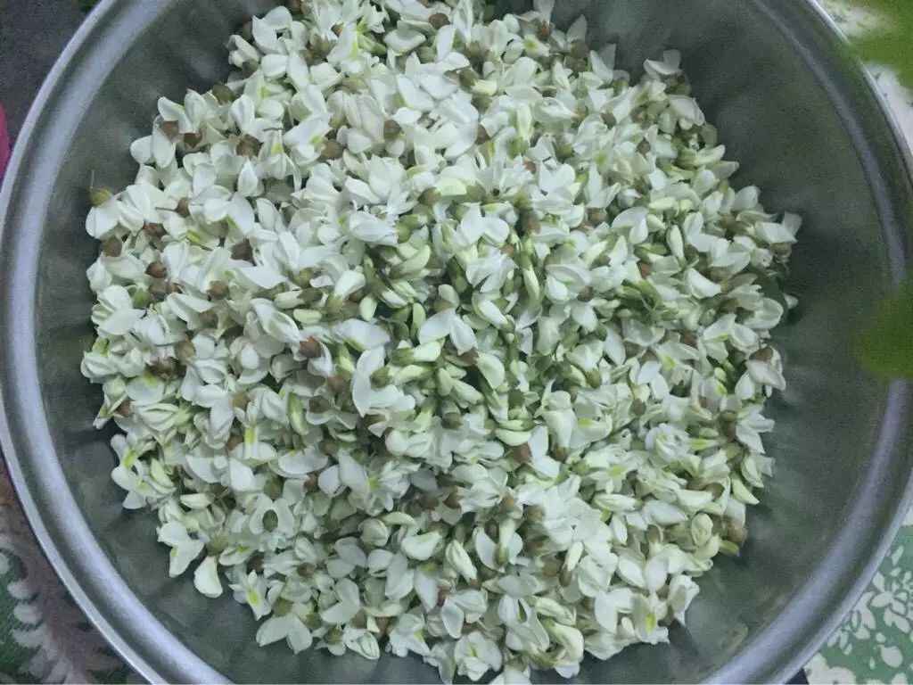 临沭爱吃槐花的人，注意了！再不看就晚了^^^