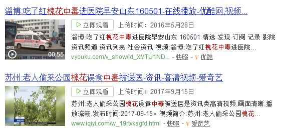 临沭爱吃槐花的人，注意了！再不看就晚了^^^