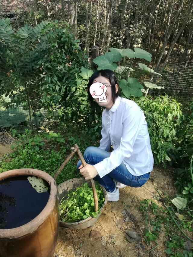 临沂莒南县的黄粉，有人吃过吗？
