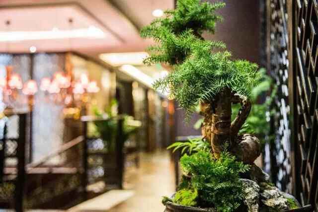 在临沂吃遍整个六月，为爱吃的你搜罗这几家店，这篇攻略已疯传啦