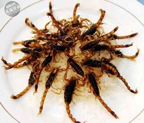 沂水美食排行榜，家乡的味道你记得多少？