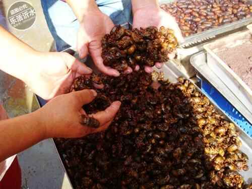 沂水美食排行榜，家乡的味道你记得多少？