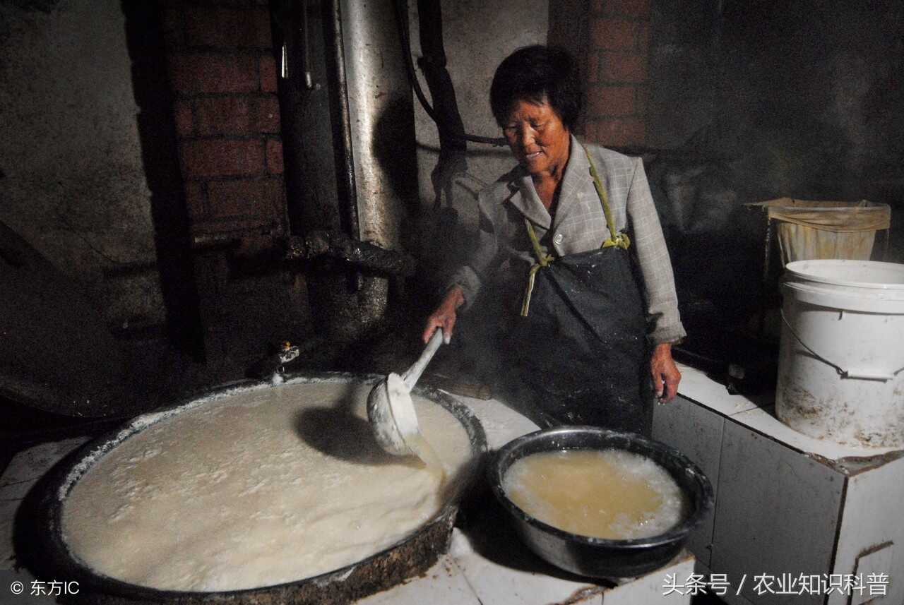 临沂市蒙阴岱崮镇，美味从“村作坊”里传出