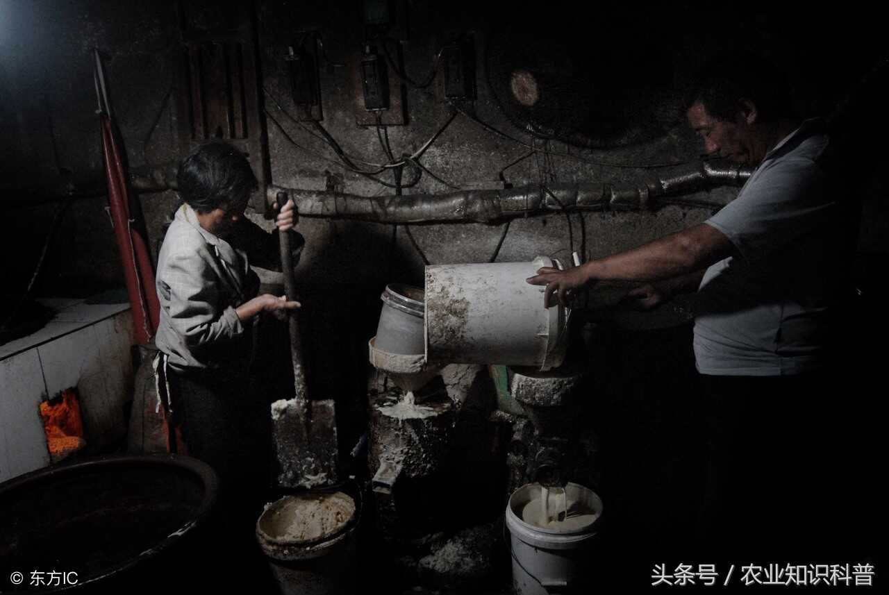 临沂市蒙阴岱崮镇，美味从“村作坊”里传出