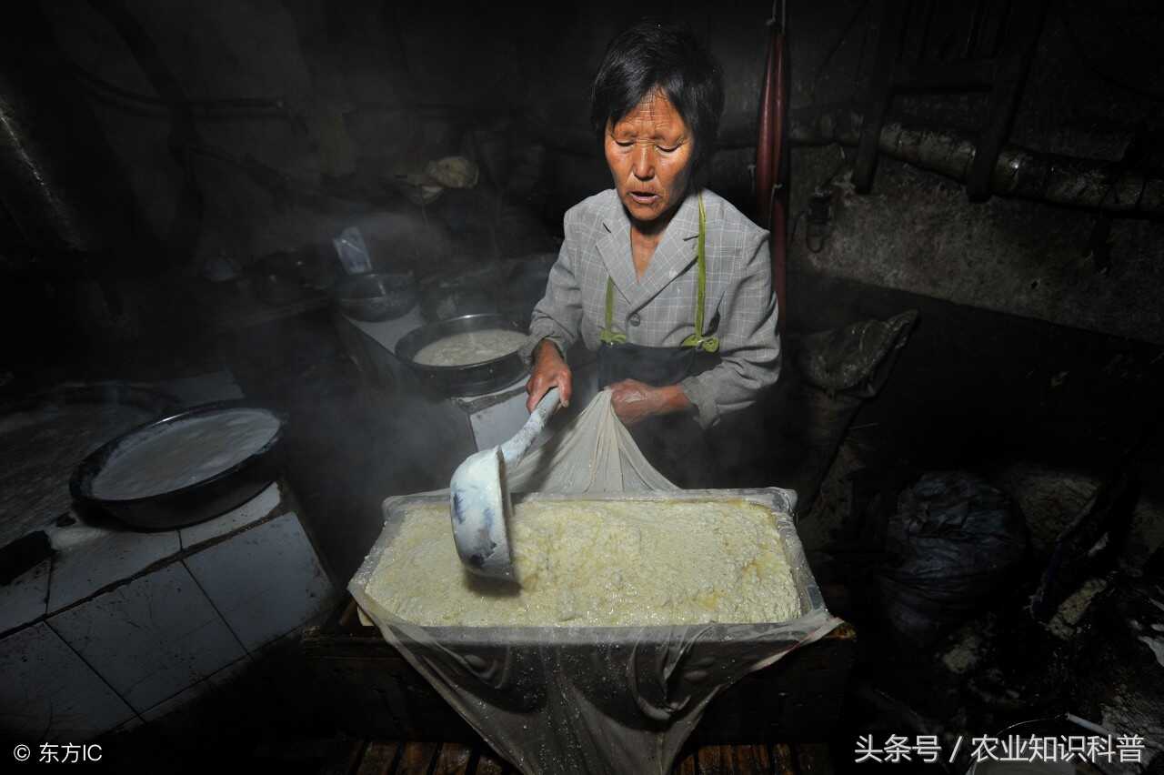 临沂市蒙阴岱崮镇，美味从“村作坊”里传出