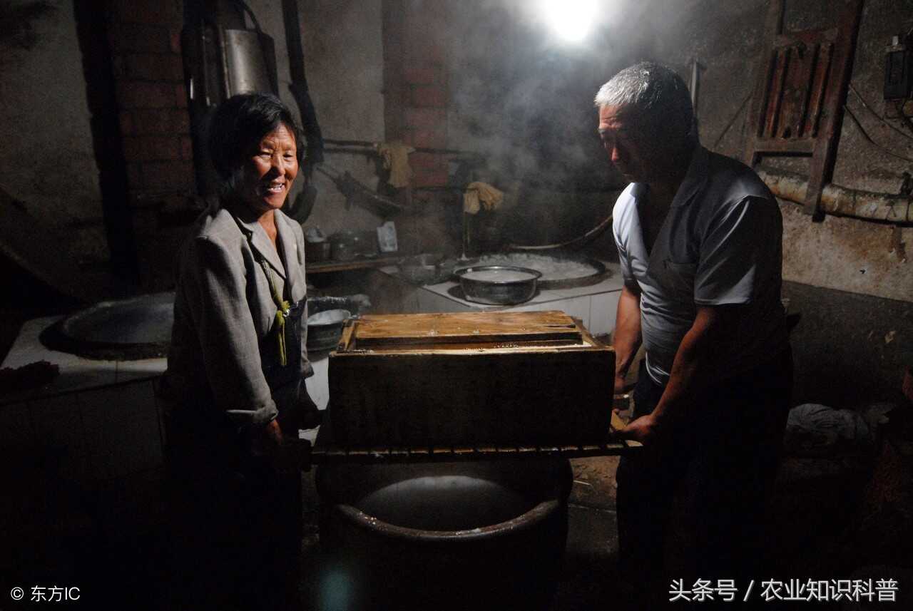 临沂市蒙阴岱崮镇，美味从“村作坊”里传出