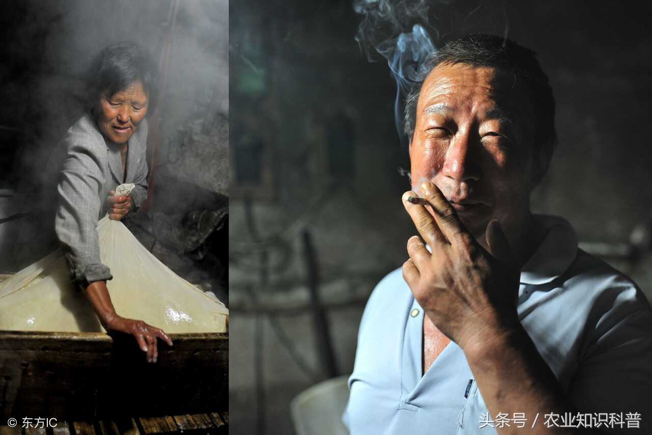 临沂市蒙阴岱崮镇，美味从“村作坊”里传出