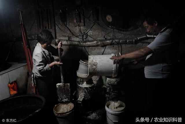 临沂市蒙阴岱崮镇，美味从“村作坊”里传出