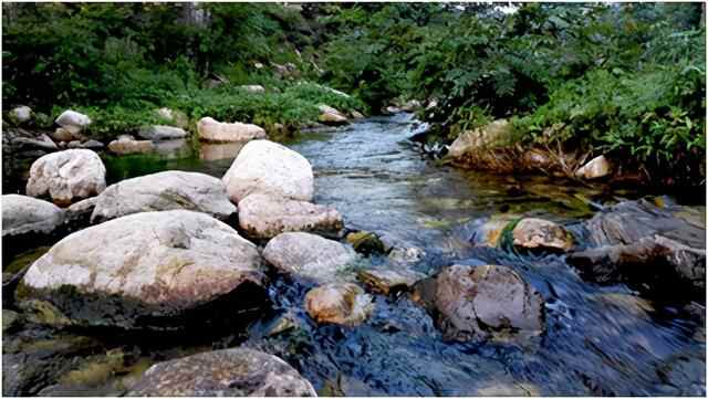 临沂蒙山大洼，自由地享受山里的美食与风景（自驾游）