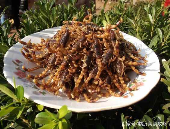 来沂蒙山区旅游，不去吃这几种美食，你能后悔死