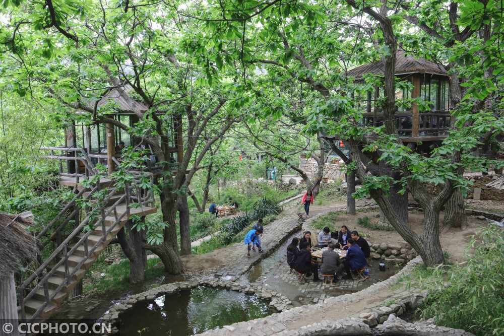 山东临沂：树上餐厅富山村