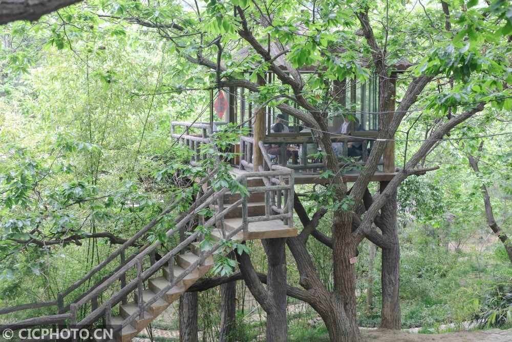 山东临沂：树上餐厅富山村