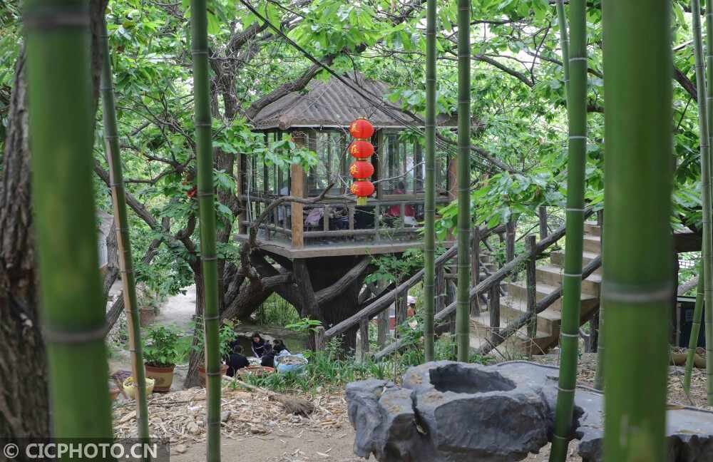 山东临沂：树上餐厅富山村