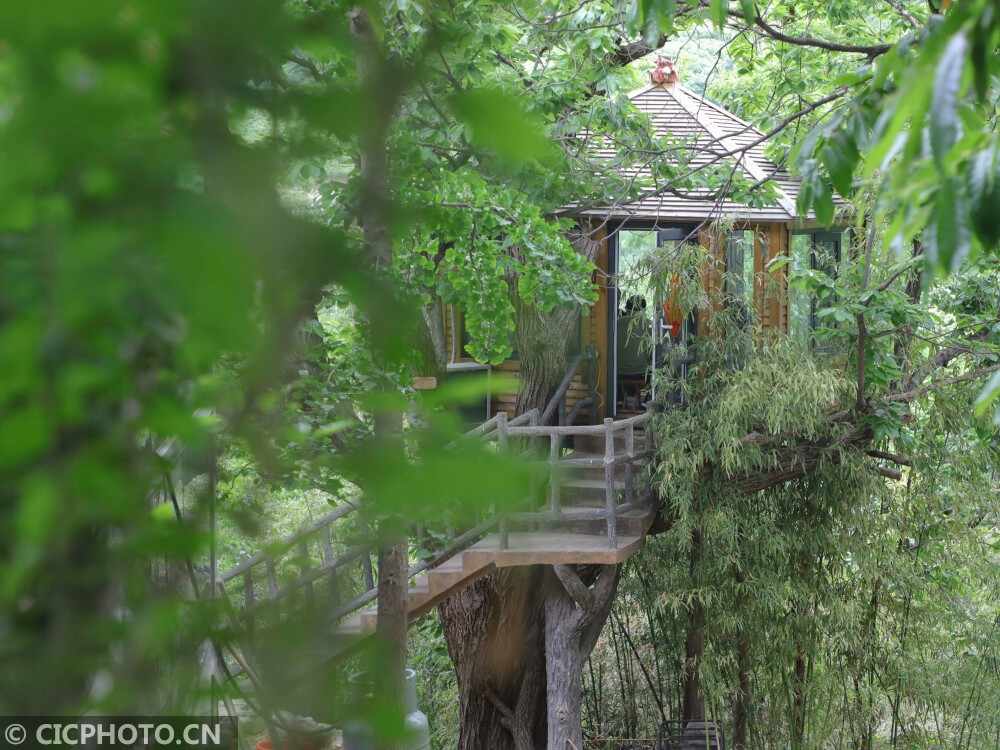 山东临沂：树上餐厅富山村