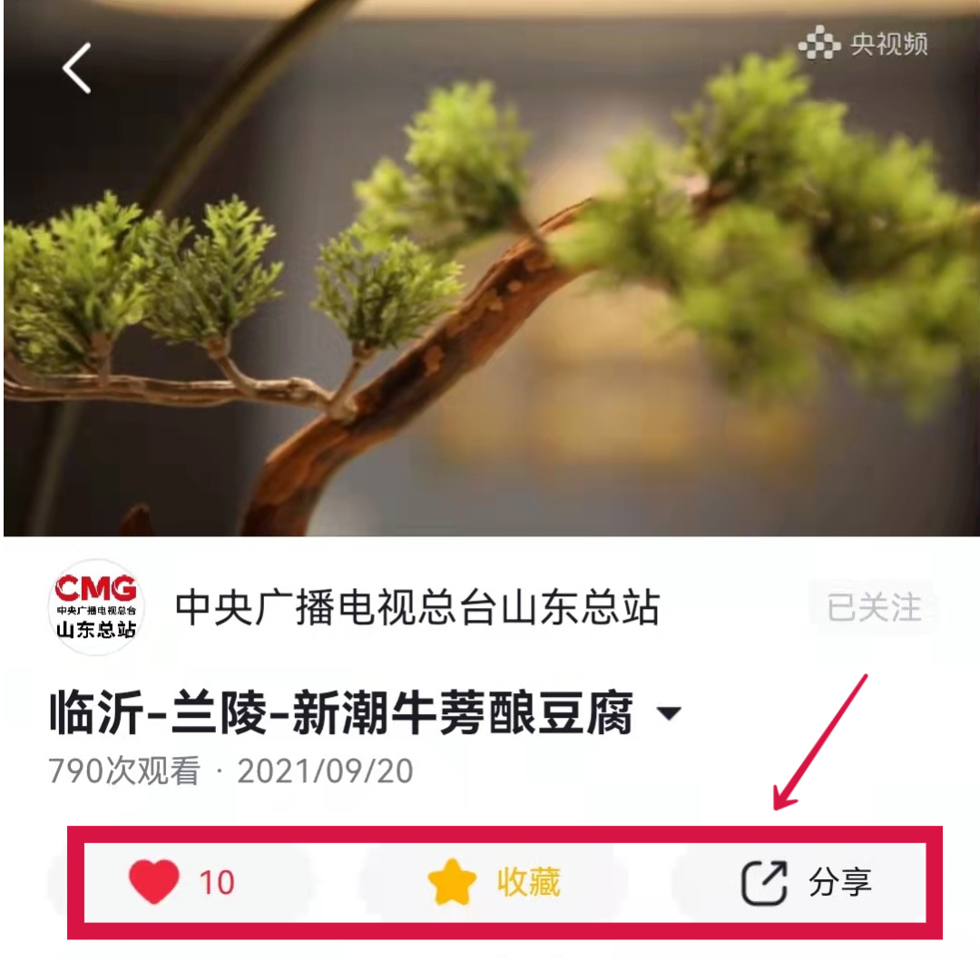 疯狂打call！让兰陵美食成为“好客山东”的新名片