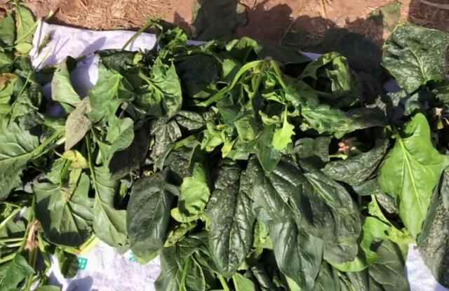沂蒙山下大集，猪头肉14元一斤10块钱买大半斤，露天喝酒吃肉