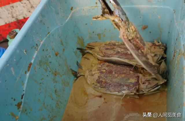 山东大娘在大集上炸鲅鱼，8元一条现炸现吃，卷上煎饼简直绝了