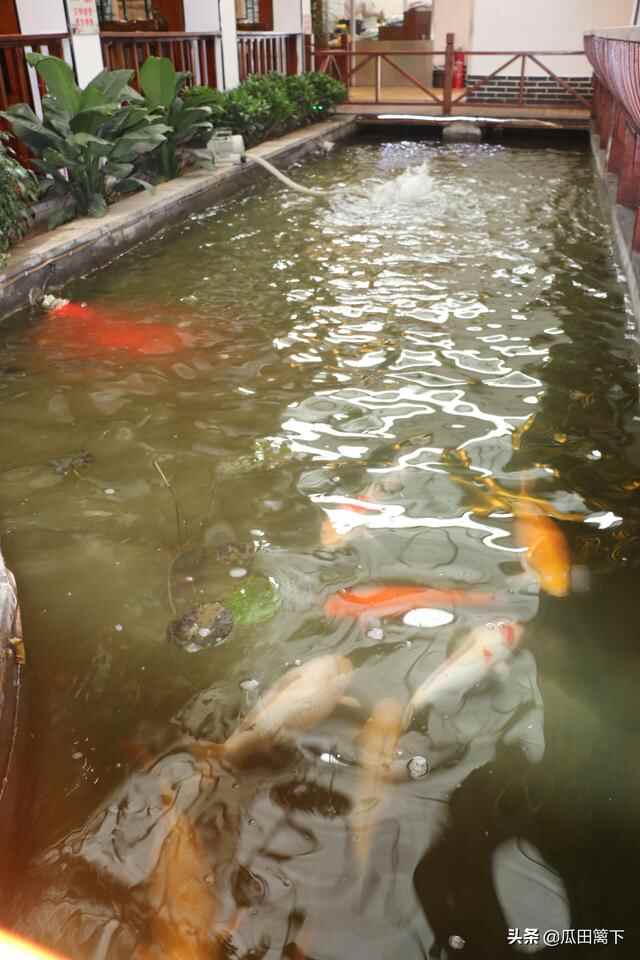 不是江南胜似江南，平邑江都小镇特色美食让人回味无穷，流连忘返