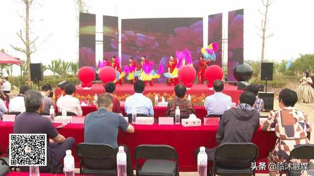 临沭县举办第五届万亩七彩百合文化旅游节