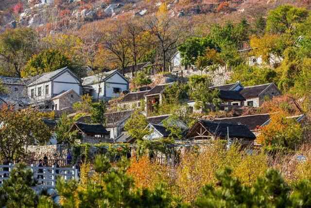 「费县人的后花园」天蒙山向费县父老乡亲免门票开放啦