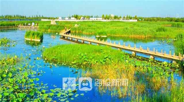 辉煌十三五·夏津｜全省唯一“全球重要农业文化遗产”！文旅发展成果丰硕