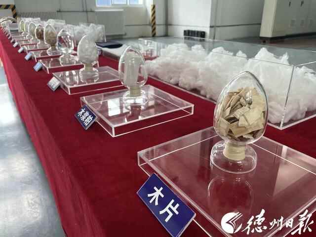 最全图文｜德州市高质量发展“期中考”！今日第一站：夏津县