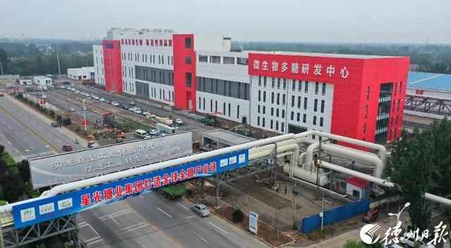 德州市高质量发展“期中考”！今日第二站：乐陵市