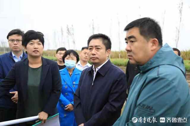 齐河坚持“书记抓粮”，全力创建“吨半粮”产能建设示范区