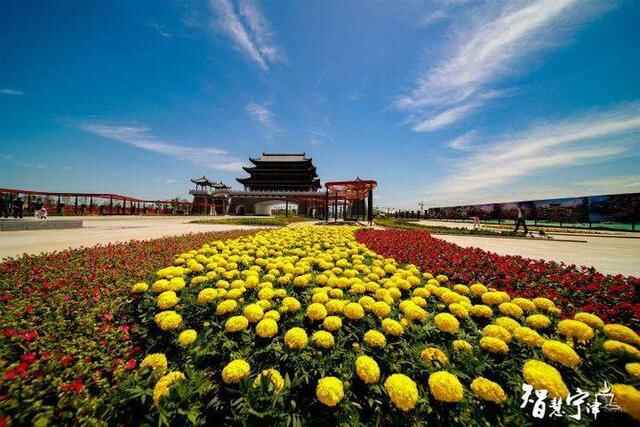 关注县市区两会｜一图读懂2020年宁津县政府工作报告