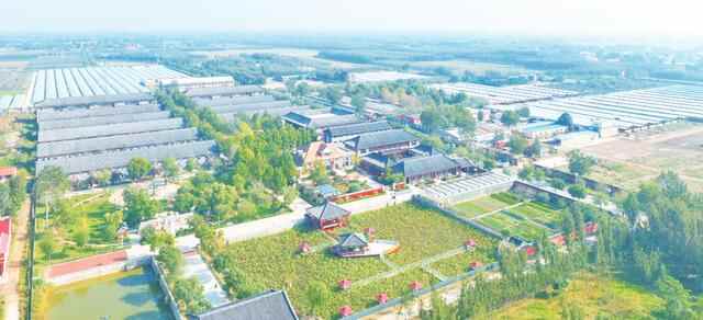 高水平打造乡村振兴齐鲁样板｜德州市：走实乡村振兴“德州路径”