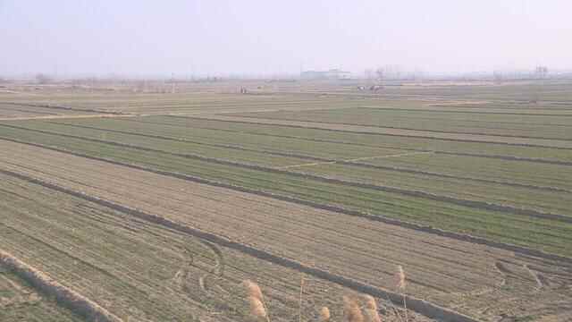 德州市平原县：建设民生水利 惠及全县发展