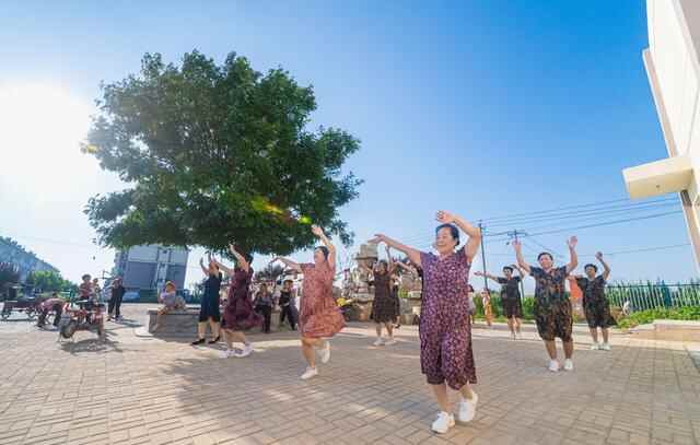 集体收入10年翻15倍！禹城禹兴街道夏季社区：大棚绿正浓 乡村产业兴