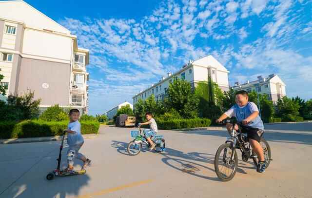 集体收入10年翻15倍！禹城禹兴街道夏季社区：大棚绿正浓 乡村产业兴