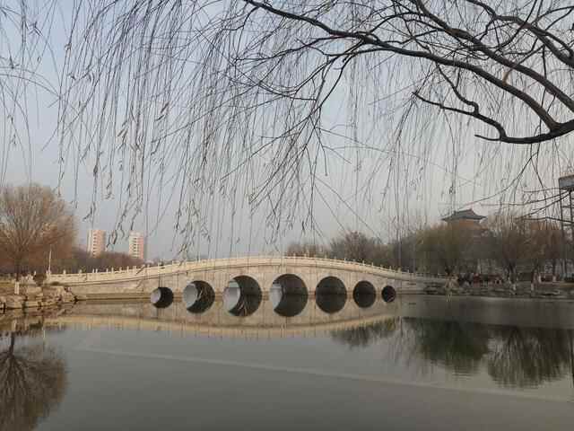 寒冬日，漫步赏景平原县琵琶湾公园