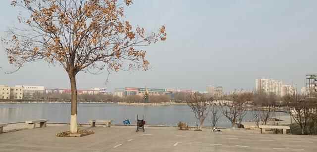 寒冬日，漫步赏景平原县琵琶湾公园