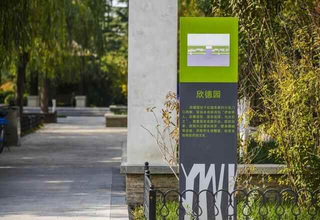 齐河县建设“百园之城”，打造公园城市样板