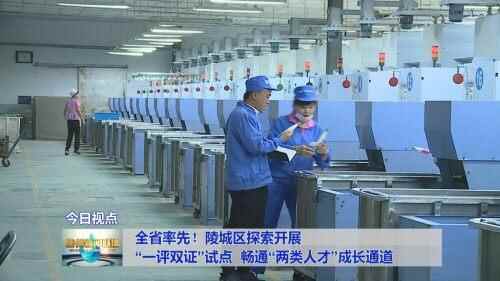 全省率先！陵城区探索开展“一评双证”试点 畅通“两类人才”成长通道