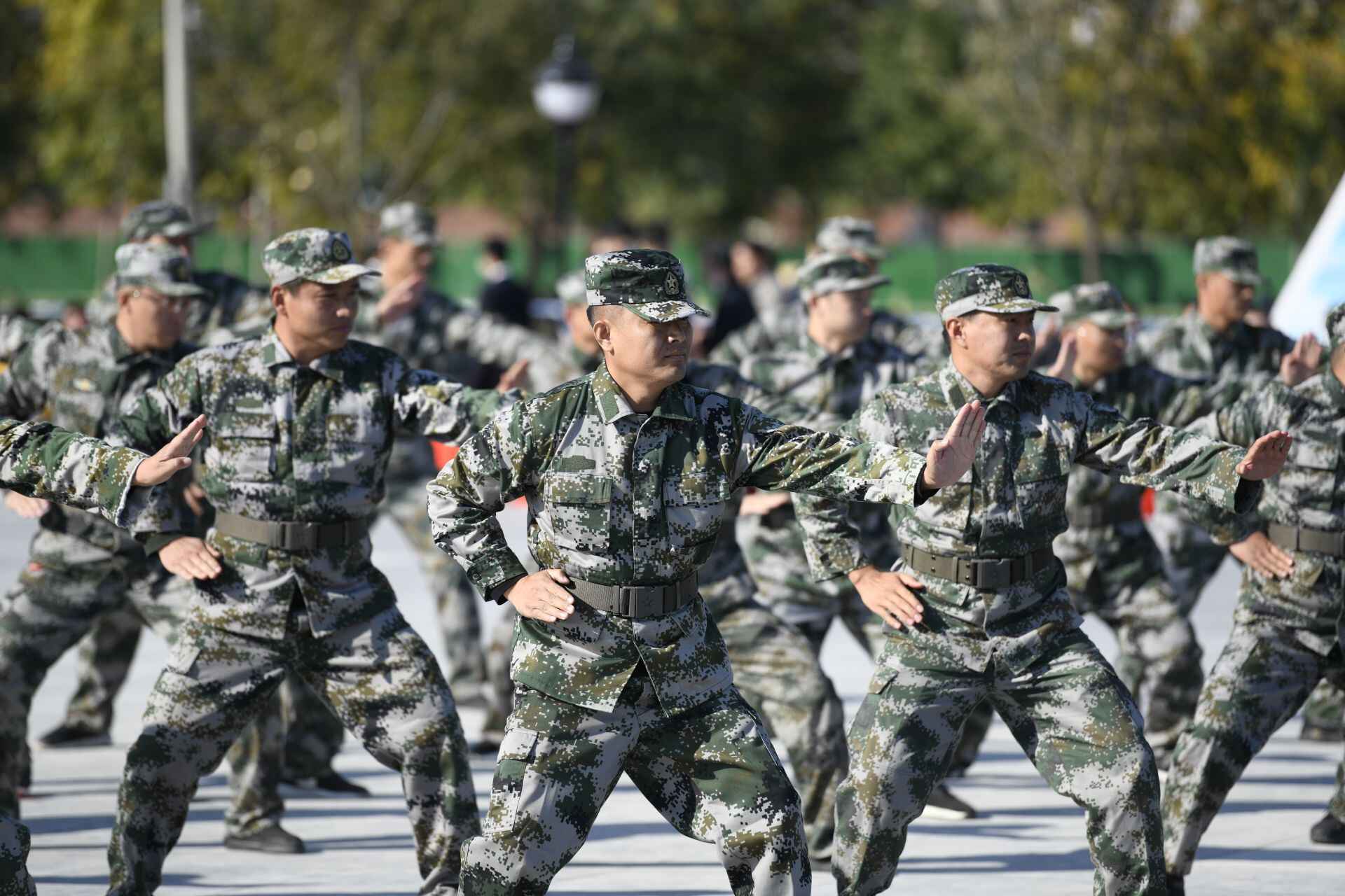 33支代表队同打八极一套拳！庆云举办吴钟八极拳全民健身活动汇演