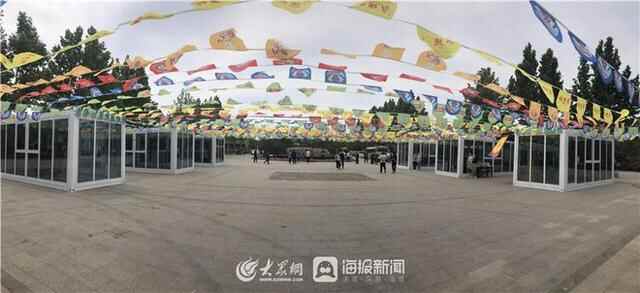 夏津古桑树群变直播间 特色桑椹产业“触网”扬名气拓销路