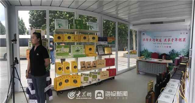 夏津古桑树群变直播间 特色桑椹产业“触网”扬名气拓销路
